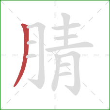 腈的笔顺第1画：撇