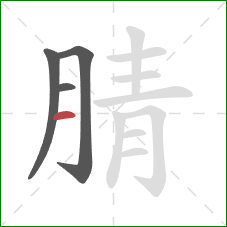 腈的笔顺第4画：横