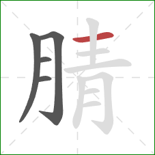 腈的笔顺第5画：横