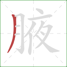 腋的笔顺第1画：撇