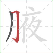 腋的笔顺第2画：横折钩