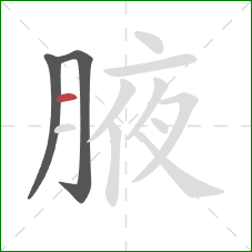 腋的笔顺第3画：横