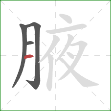 腋的笔顺第4画：横