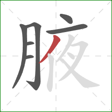 腋的笔顺第7画：撇