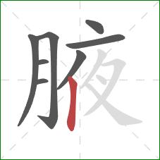 腋的笔顺第8画：竖