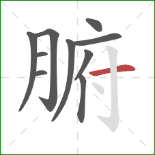 腑的笔顺第10画:横 腑的笔顺第10画:横