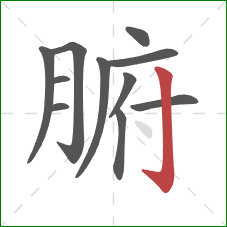 腑的笔顺第11画:竖钩 腑的笔顺第11画:竖钩