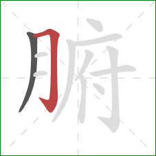 腑的笔顺第2画:横折钩 腑的笔顺第2画:横折钩