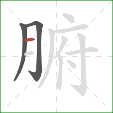 腑的笔顺第3画:横 腑的笔顺第3画:横