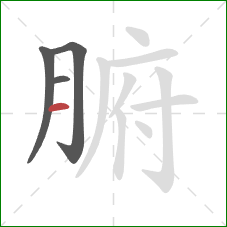 腑的笔顺第4画:横 腑的笔顺第4画:横