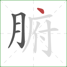 腑的笔顺第5画:点 腑的笔顺第5画:点