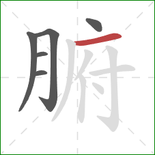 腑的笔顺第6画:横 腑的笔顺第6画:横