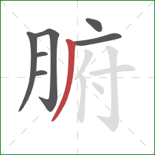 腑的笔顺第7画:撇 腑的笔顺第7画:撇