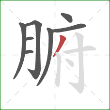 腑的笔顺第8画:撇 腑的笔顺第8画:撇