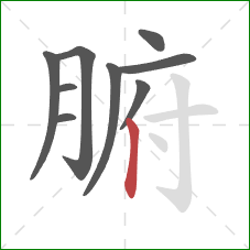 腑的笔顺第9画:竖 腑的笔顺第9画:竖