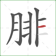 腓的笔顺第11画:横 腓的笔顺第11画:横