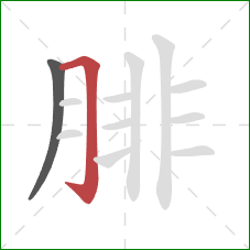 腓的笔顺第2画:横折钩 腓的笔顺第2画:横折钩