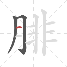 腓的笔顺第3画:横 腓的笔顺第3画:横