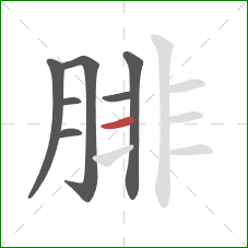 腓的笔顺第7画:横 腓的笔顺第7画:横