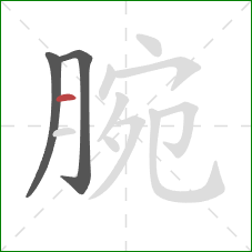 腕的笔顺第3画：横