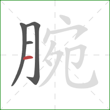 腕的笔顺第4画：横