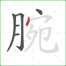 腕的笔顺第6画：点