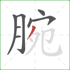 腕的笔顺第8画：撇