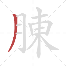 腖的笔顺第1画：撇