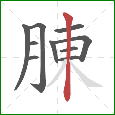 腖的笔顺第10画：竖