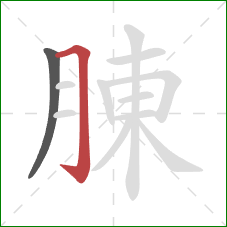 腖的笔顺第2画：横折钩