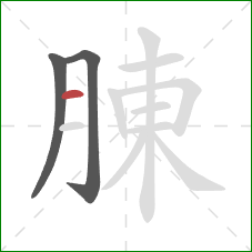 腖的笔顺第3画：横