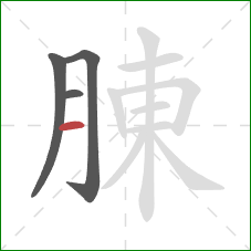 腖的笔顺第4画：横