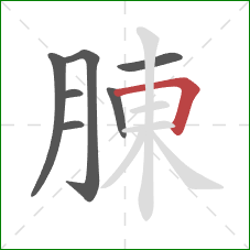 腖的笔顺第7画：横折