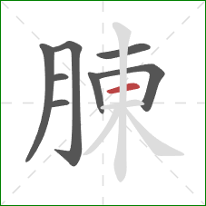 腖的笔顺第8画：横