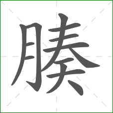 腠的部首 腠的部首