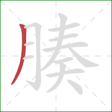 腠的笔顺第1画:撇 腠的笔顺第1画:撇