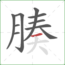 腠的笔顺第10画:横 腠的笔顺第10画:横