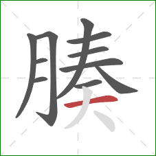 腠的笔顺第11画:横 腠的笔顺第11画:横