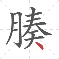 腠的笔顺第13画:点 腠的笔顺第13画:点