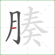 腠的笔顺第4画:横 腠的笔顺第4画:横