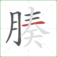 腠的笔顺第7画:横 腠的笔顺第7画:横