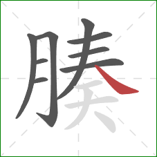 腠的笔顺第9画:捺 腠的笔顺第9画:捺