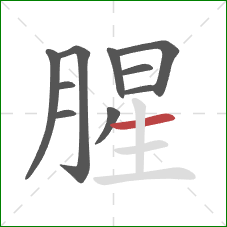 腥的笔顺第10画：横