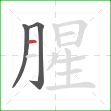 腥的笔顺第3画：横