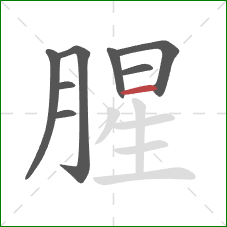 腥的笔顺第8画：横