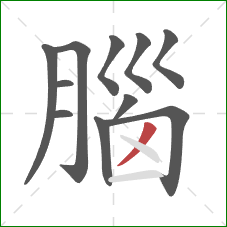 腦的笔顺第11画:撇 腦的笔顺第11画:撇