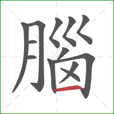 腦的笔顺第13画:横 腦的笔顺第13画:横