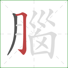 腦的笔顺第2画:横折钩 腦的笔顺第2画:横折钩