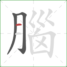腦的笔顺第3画:横 腦的笔顺第3画:横