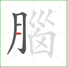 腦的笔顺第4画:横 腦的笔顺第4画:横